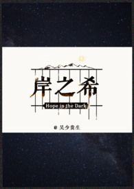 岸之美产品测评